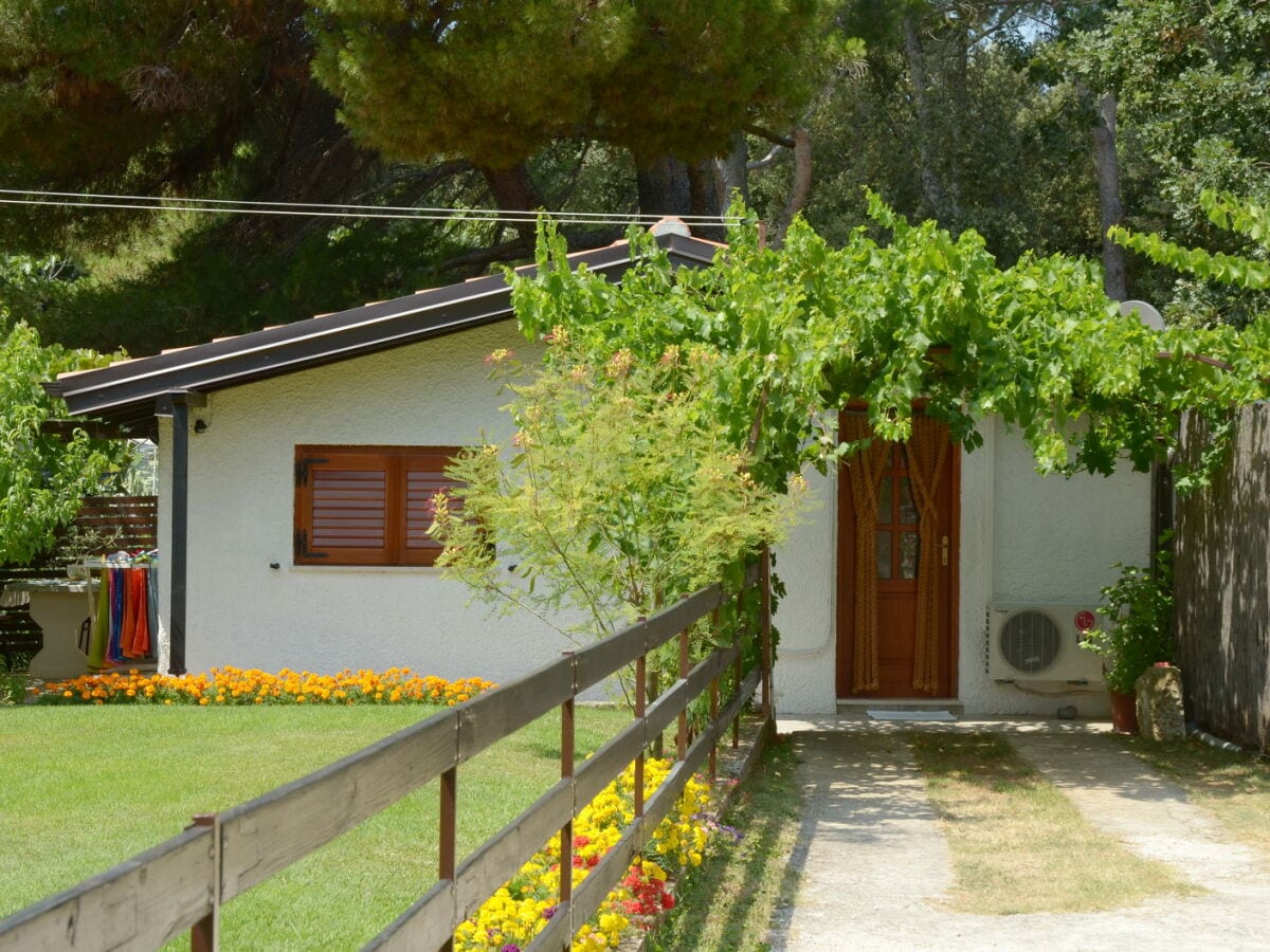 Bungalow Strandhaus Vanesa 2