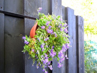 Holiday house Cozy holiday home in Volkel with Sauna - Outdoor photo 5