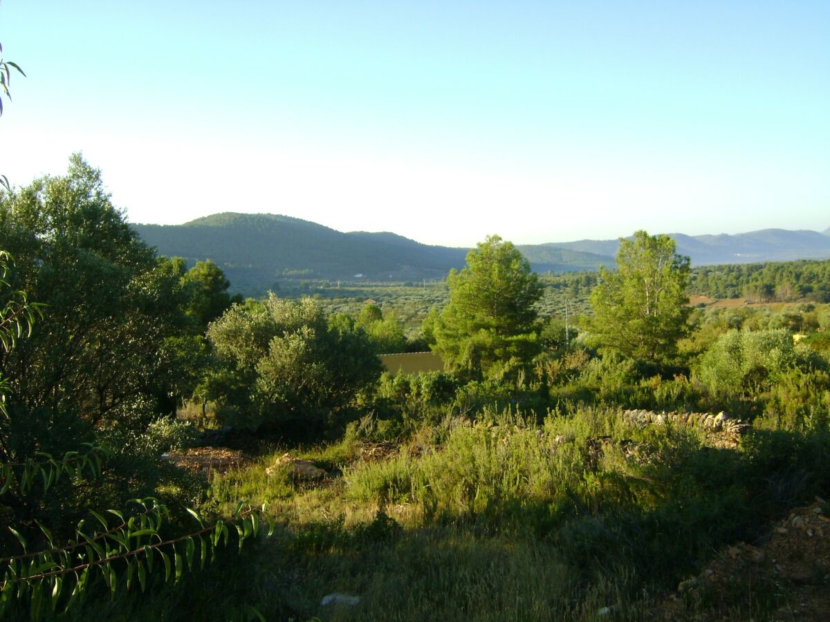 Farmhouse Belvilla by OYO Masia Vinaixa - Outdoor photo 5