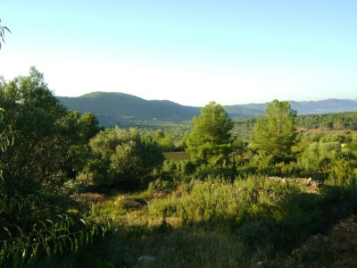 Farmhouse Belvilla by OYO Masia Vinaixa - Outdoor photo 5