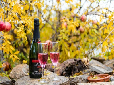 Farmhouse Belvilla by OYO Masia Vinaixa - Outdoor photo 35