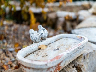 Farmhouse Belvilla by OYO Masia Vinaixa - Outdoor photo 40