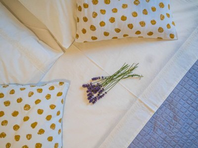 Villa Villa Jas (6+2) - Features photo 31