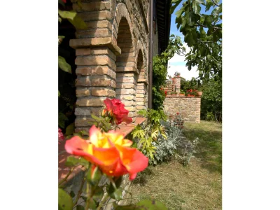 Holiday apartment Casa Volpini - Apartment Vera - Outdoor photo 2