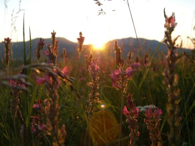 Holiday apartment Casa Volpini - Apartment Vera - Environment photo 18