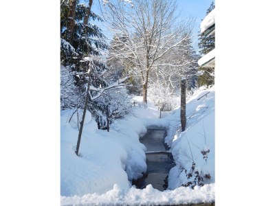 Holiday apartment Inzell - Chalet am Bach - Environment photo 31