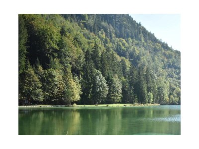 Holiday apartment Inzell - Chalet am Bach - Environment photo 40