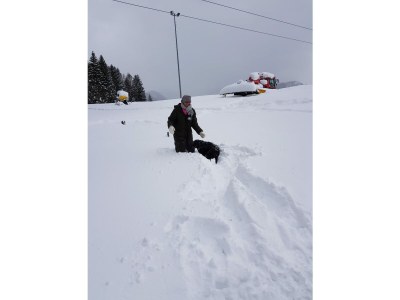 Holiday apartment Inzell - Chalet am Bach - Environment photo 43