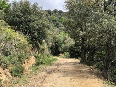 Holiday house Attraktive und luxuriöse Villa mit Pool-Jacuzzi - Environment photo 37