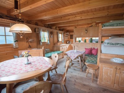 Alpine hut Sagritzerwirt Almhüttl - Features photo 13