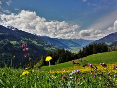 Apartment Alpenstyle by Katharina - Outdoor photo 11