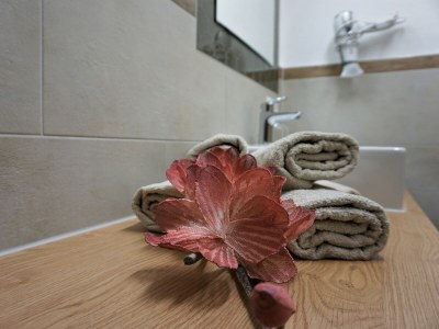 Apartment Alpenstyle by Katharina - Features photo 33