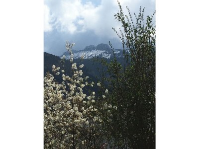 Holiday apartment Müller 5 in Haus Alpenrose - Environment photo 24