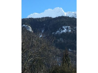 Holiday apartment Müller 5 in Haus Alpenrose - Environment photo 25