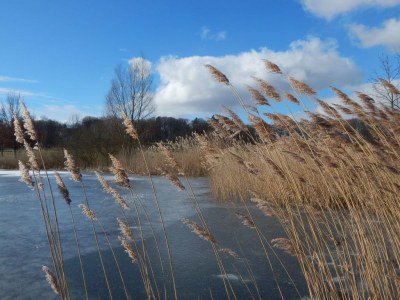 Holiday house "Seekiste" - Environment photo 15