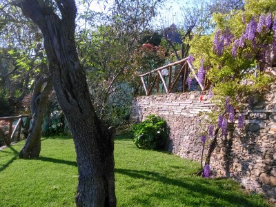 Holiday house Biancospino - Outdoor photo 11