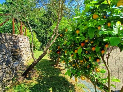 Holiday house Biancospino - Outdoor photo 24