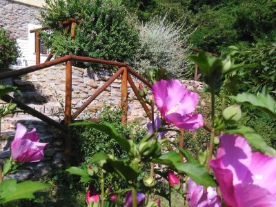 Holiday house Biancospino - Outdoor photo 27