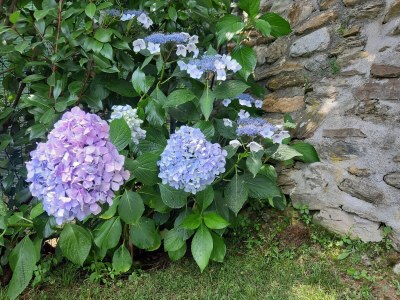 Holiday house Biancospino - Outdoor photo 28