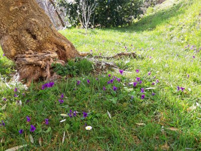 Holiday house Biancospino - Features photo 32