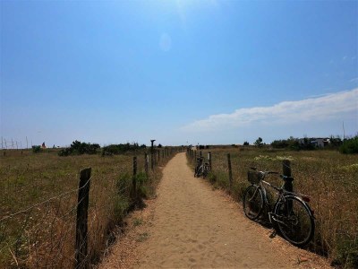 Holiday house Biancospino - Environment photo 33