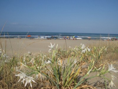 Holiday house Biancospino - Environment photo 40