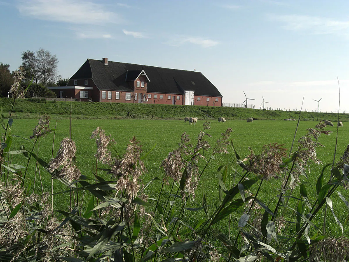 Holiday apartment in a frisian house