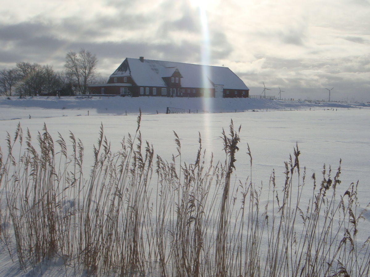 Holiday apartment in a frisian house - Outdoor photo 2
