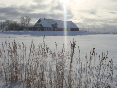 Holiday apartment in a frisian house - Outdoor photo 2