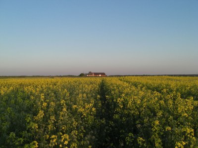 Holiday apartment in a frisian house - Outdoor photo 3