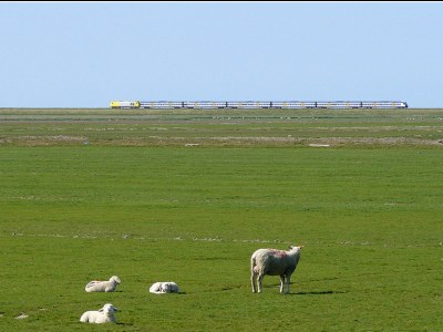 Holiday apartment in a frisian house - Environment photo 17