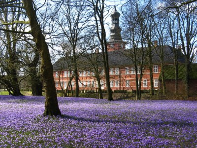 Holiday apartment in a frisian house - Environment photo 18
