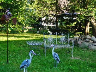 Holiday apartment Am Deckbusch /Holiday Apartment 5 in Ribnitz-Damgarten OT Körkwitz - Holiday apartment