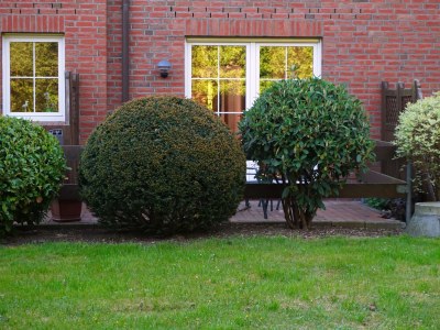 Holiday apartment Am Deckbusch /Holiday Apartment 5 - Outdoor photo 4