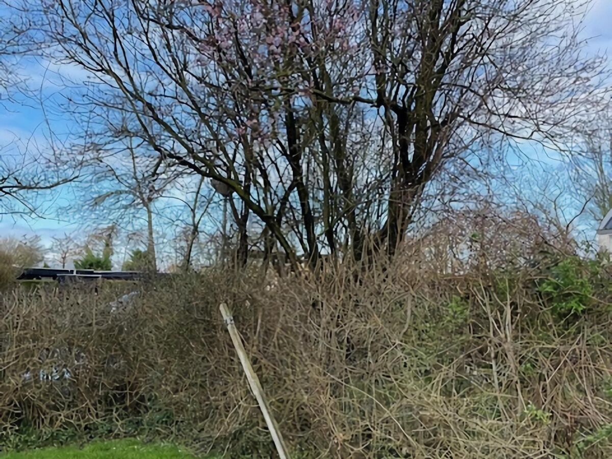 Holiday house Ferienhaus Warmenhuizen bei Dünen - Outdoor photo 4