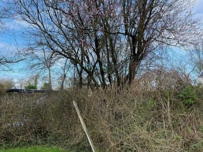 Holiday house Ferienhaus Warmenhuizen bei Dünen - Outdoor photo 4