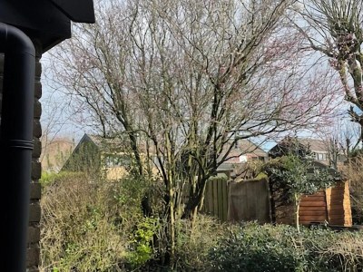 Holiday house Ferienhaus Warmenhuizen bei Dünen - Outdoor photo 6