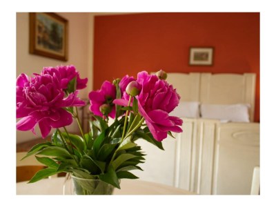 Holiday apartment Casa Natalia - Features photo 16