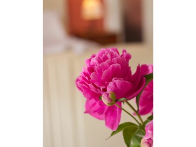 Holiday apartment Casa Natalia - Features photo 27