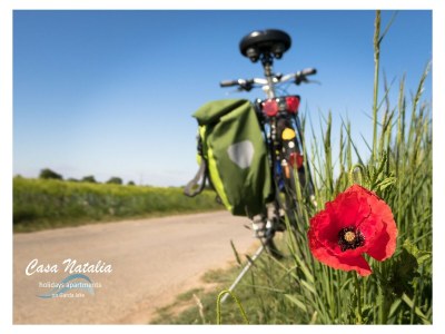 Holiday apartment Casa Natalia - Environment photo 31