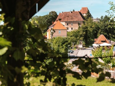 Holiday house The Styrian house on Seggauberg - Outdoor photo 4