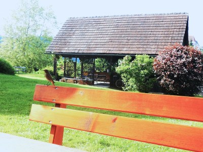 Holiday house The Styrian house on Seggauberg - Outdoor photo 17