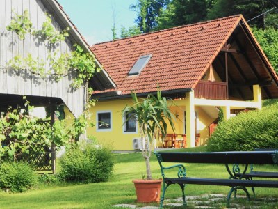 Holiday house The Styrian house on Seggauberg - Outdoor photo 22