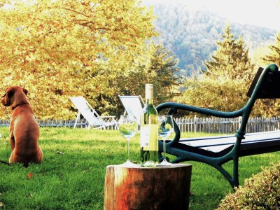 Holiday house The Styrian house on Seggauberg - Outdoor photo 23