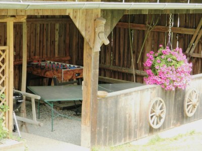 Holiday house The Styrian house on Seggauberg - Outdoor photo 27