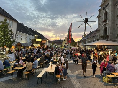 Holiday house The Styrian house on Seggauberg - Features photo 31