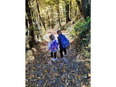 Holiday house The Styrian house on Seggauberg - Features photo 33