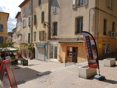 Holiday house Holiday Home in Lorgues with Pool and Terrace - Environment photo 35