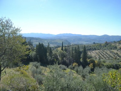 Holiday house Ferienhaus in Chianti mit Pool und Sauna - Outdoor photo 3