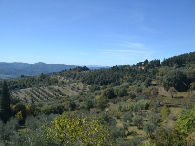 Holiday house Ferienhaus in Chianti mit Pool und Sauna - Outdoor photo 9